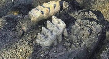 Image 12-22-24 at 8.31 PM